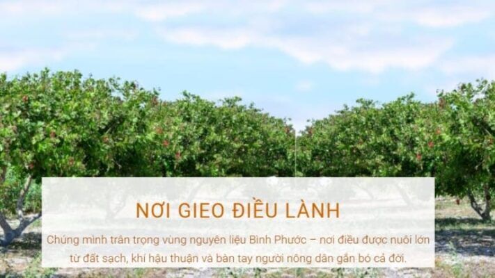 Quà tặng đối tác người nước ngoài từ vùng nguyên liệu Bình Phước – nơi điều được trồng trên đất sạch và khí hậu thuận lợi"